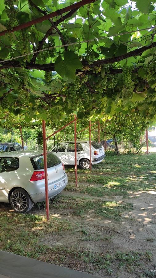 Kastrati Apartments Ulcinj Exteriör bild