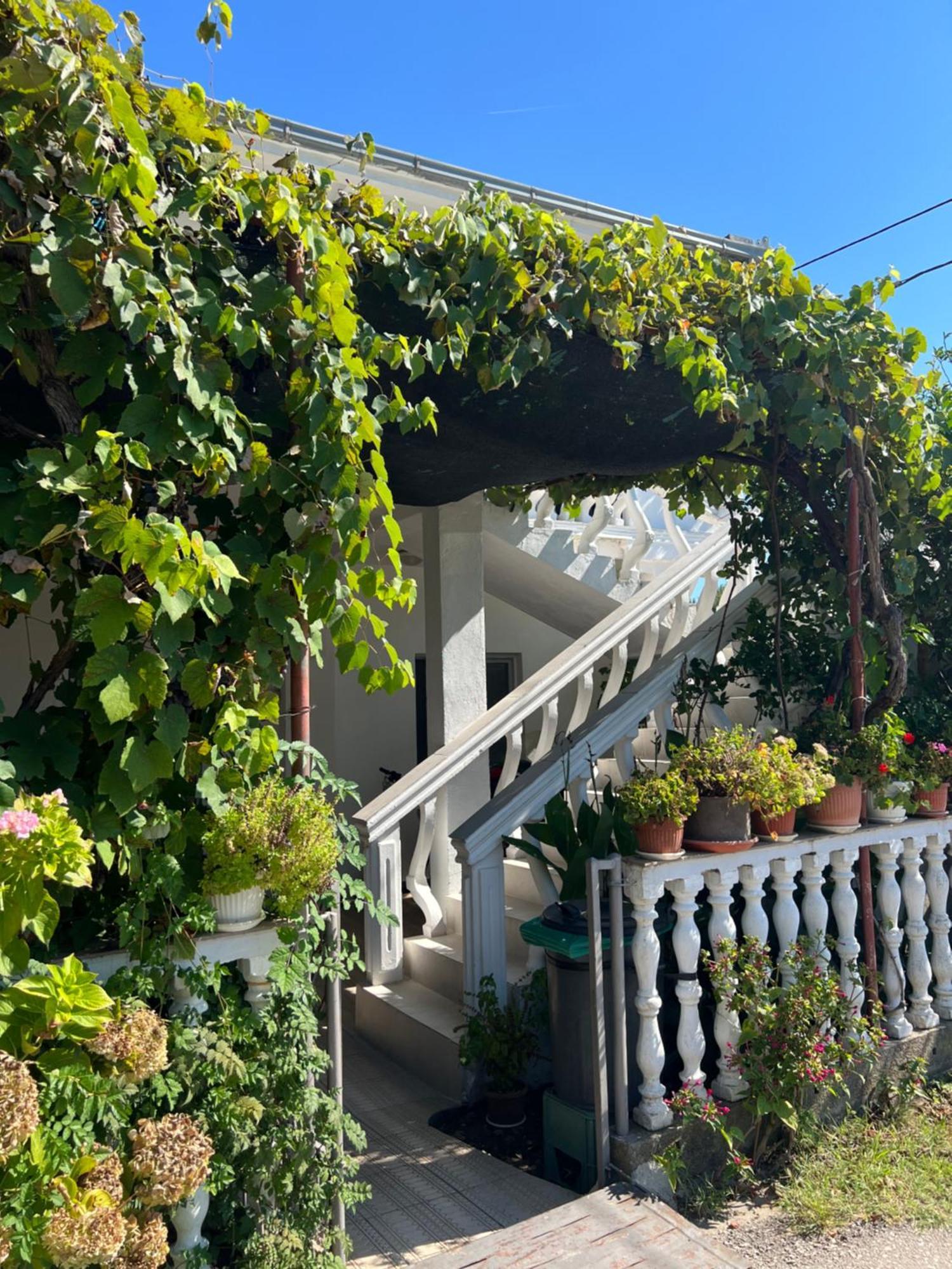 Kastrati Apartments Ulcinj Exteriör bild